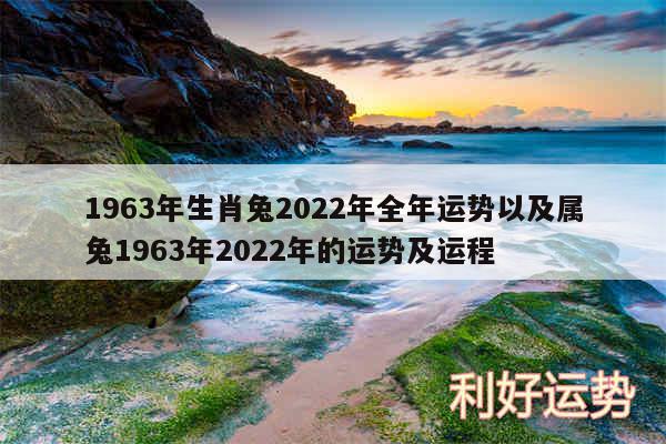 1963年生肖兔2024年全年运势以及属兔1963年2024年的运势及运程