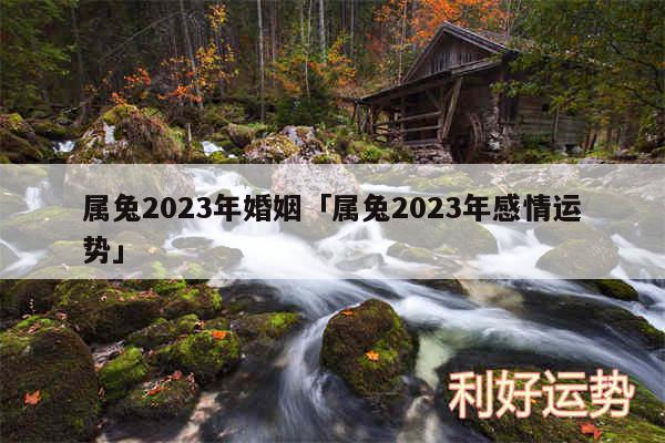属兔2024年婚姻及属兔2024年感情运势