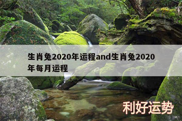 生肖兔2020年运程and生肖兔2020年每月运程