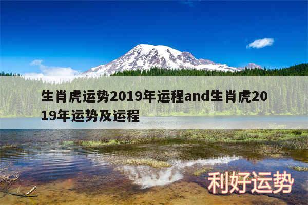 生肖虎运势2019年运程and生肖虎2019年运势及运程