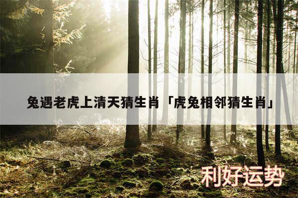 兔遇老虎上清天猜生肖及虎兔相邻猜生肖
