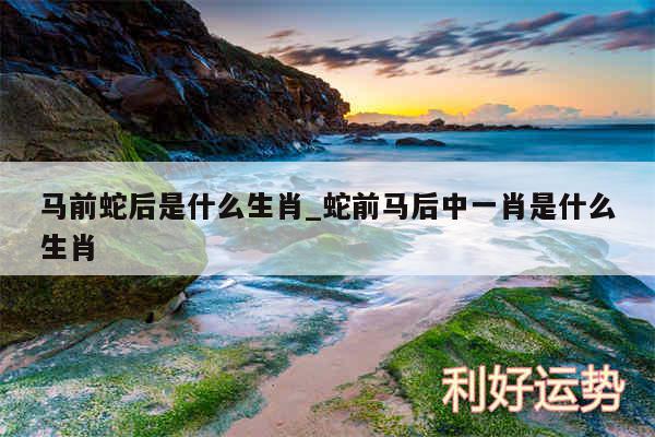 马前蛇后是什么生肖_蛇前马后中一肖是什么生肖