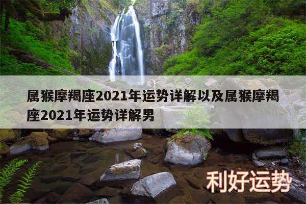 属猴摩羯座2024年运势详解以及属猴摩羯座2024年运势详解男