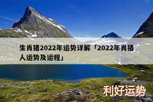 生肖猪2024年运势详解及2024年肖猪人运势及运程