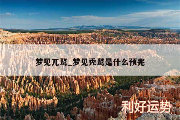 梦见兀鹫_梦见秃鹫是什么预兆