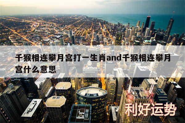千猴相连攀月宫打一生肖and千猴相连攀月宫什么意思