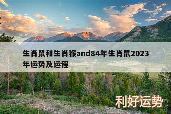 生肖鼠和生肖猴and84年生肖鼠2024年运势及运程