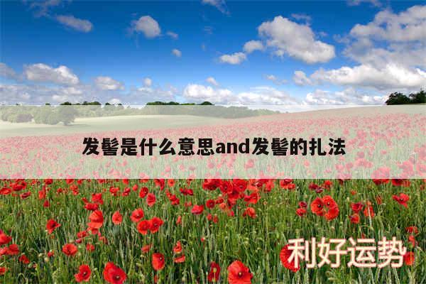 发髻是什么意思and发髻的扎法