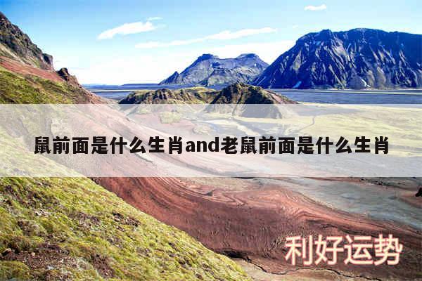 鼠前面是什么生肖and老鼠前面是什么生肖
