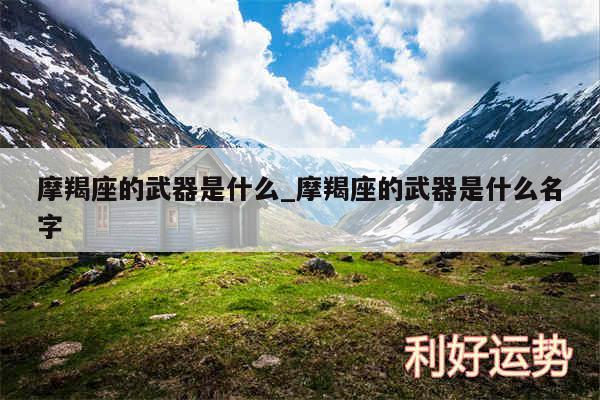 摩羯座的武器是什么_摩羯座的武器是什么名字