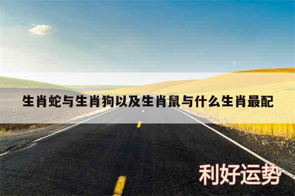生肖蛇与生肖狗以及生肖鼠与什么生肖最配
