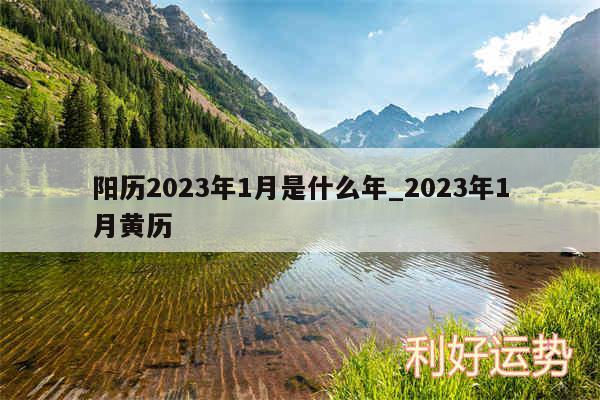 阳历2024年1月是什么年_2024年1月黄历