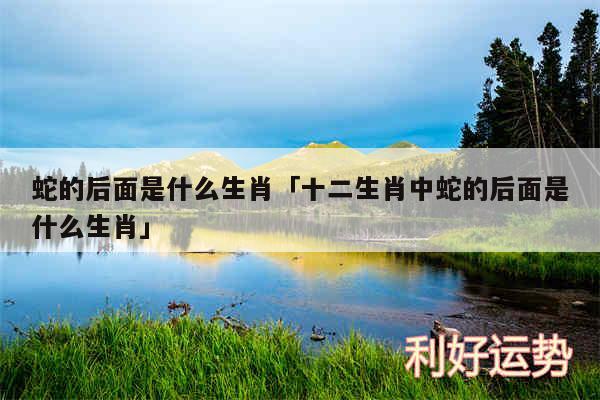 蛇的后面是什么生肖及十二生肖中蛇的后面是什么生肖