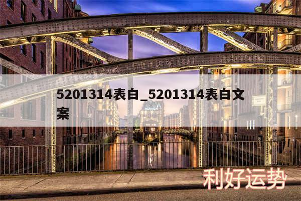 5201314表白_5201314表白文案