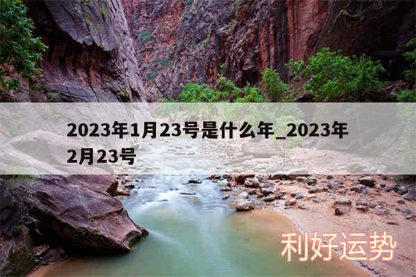 2024年1月23号是什么年_2024年2月23号