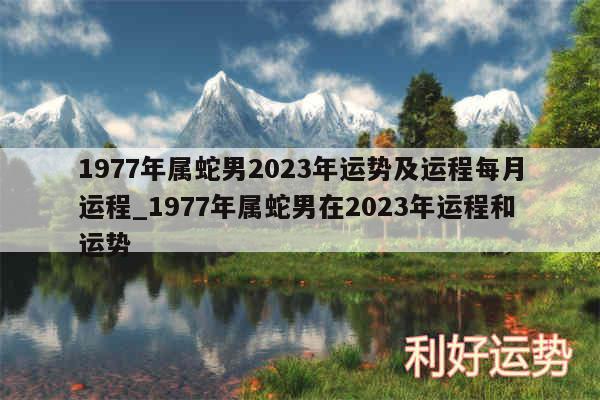 1977年属蛇男2024年运势及运程每月运程_1977年属蛇男在2024年运程和运势