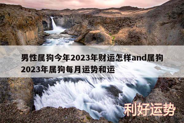 男性属狗今年2024年财运怎样and属狗2024年属狗每月运势和运