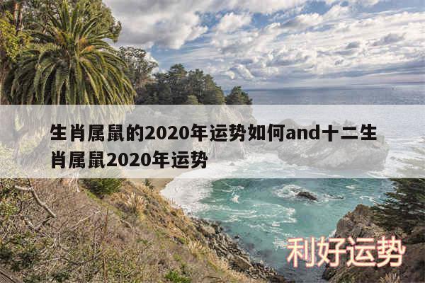 生肖属鼠的2020年运势如何and十二生肖属鼠2020年运势