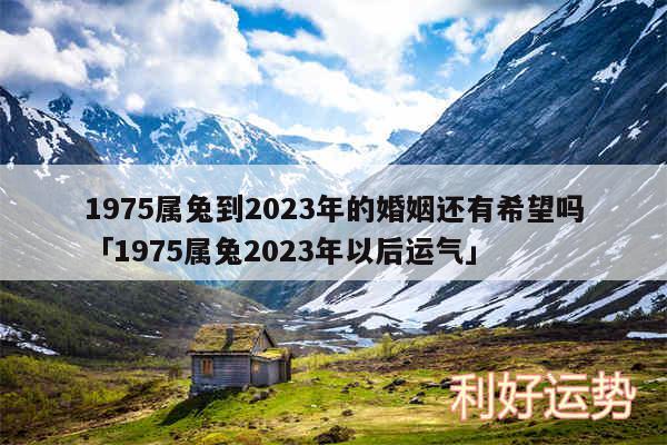 1975属兔到2024年的婚姻还有希望吗及1975属兔2024年以后运气