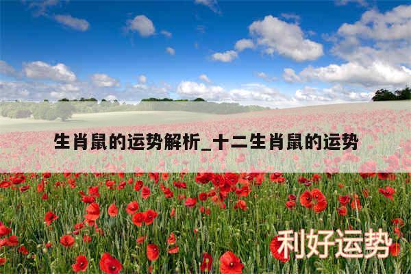 生肖鼠的运势解析_十二生肖鼠的运势