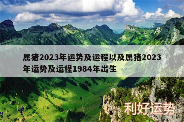 属猪2024年运势及运程以及属猪2024年运势及运程1984年出生