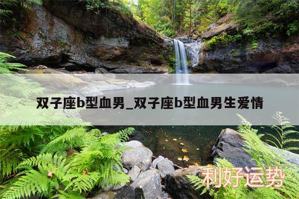 双子座b型血男_双子座b型血男生爱情