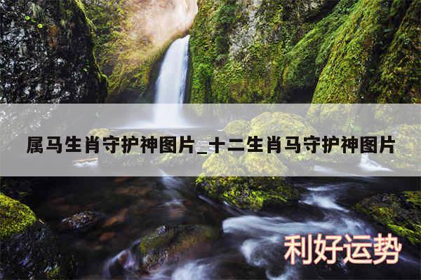 属马生肖守护神图片_十二生肖马守护神图片