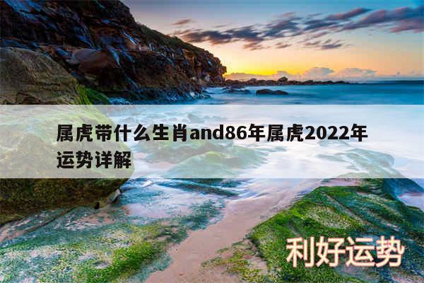 属虎带什么生肖and86年属虎2024年运势详解