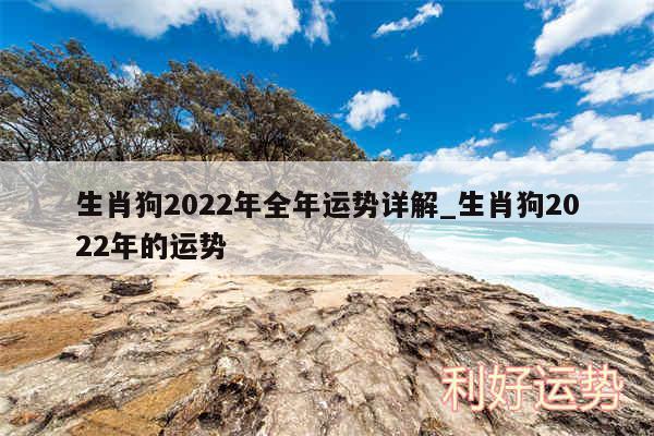 生肖狗2024年全年运势详解_生肖狗2024年的运势