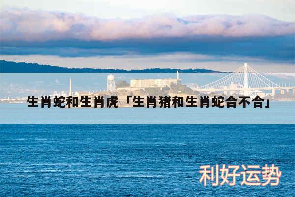生肖蛇和生肖虎及生肖猪和生肖蛇合不合