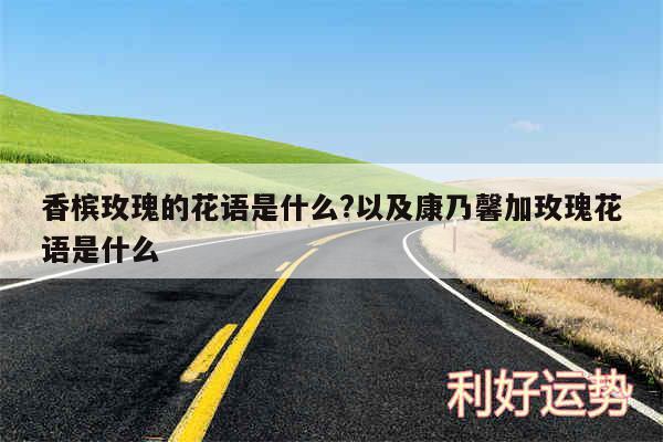 香槟玫瑰的花语是什么?以及康乃馨加玫瑰花语是什么