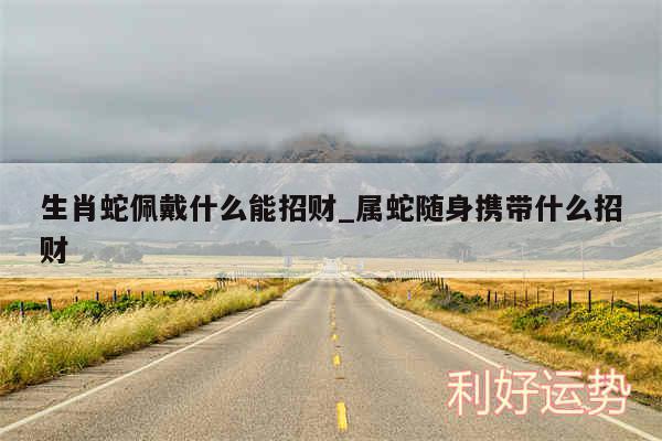 生肖蛇佩戴什么能招财_属蛇随身携带什么招财