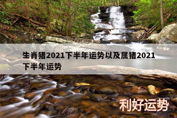 生肖猪2024下半年运势以及属猪2024下半年运势
