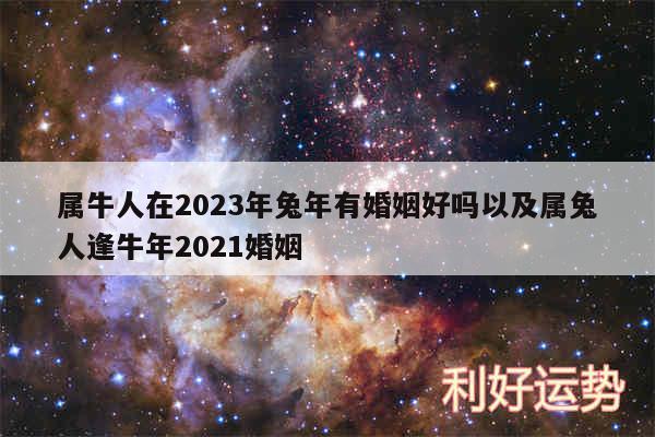 属牛人在2024年兔年有婚姻好吗以及属兔人逢牛年2024婚姻