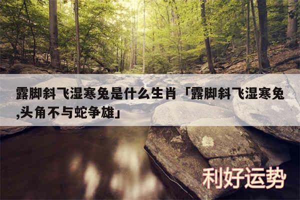 露脚斜飞湿寒兔是什么生肖及露脚斜飞湿寒兔,头角不与蛇争雄