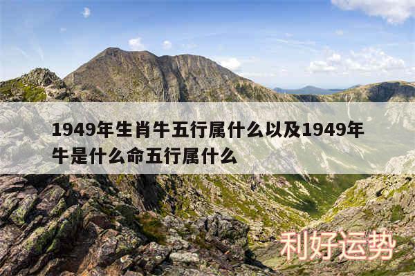 1949年生肖牛五行属什么以及1949年牛是什么命五行属什么