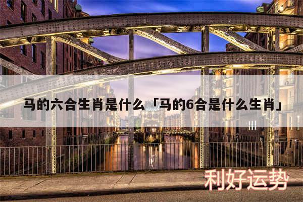 马的六合生肖是什么及马的6合是什么生肖