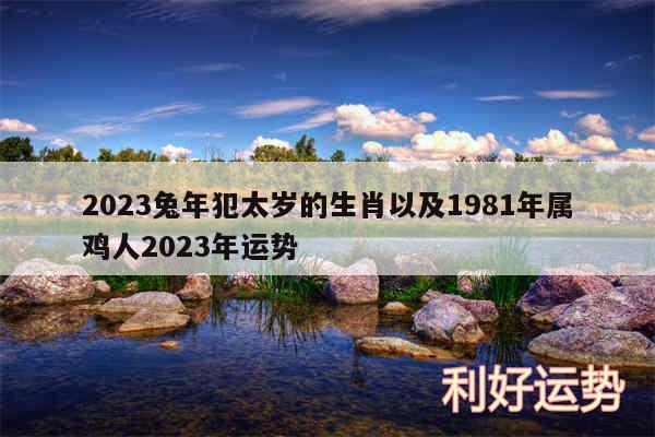 2024兔年犯太岁的生肖以及1981年属鸡人2024年运势