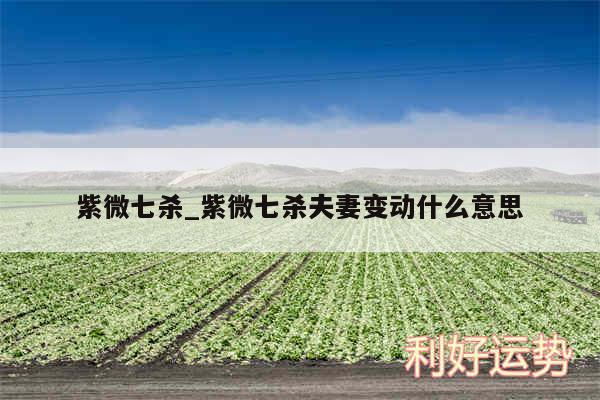 紫微七杀_紫微七杀夫妻变动什么意思