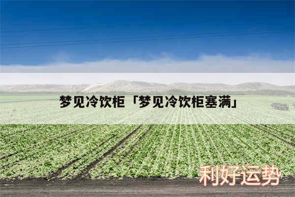 梦见冷饮柜及梦见冷饮柜塞满