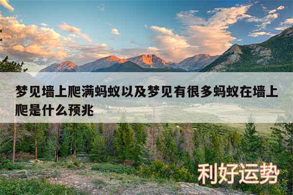 梦见墙上爬满蚂蚁以及梦见有很多蚂蚁在墙上爬是什么预兆