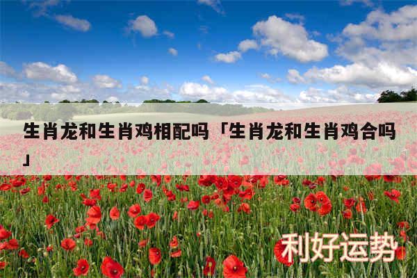 生肖龙和生肖鸡相配吗及生肖龙和生肖鸡合吗
