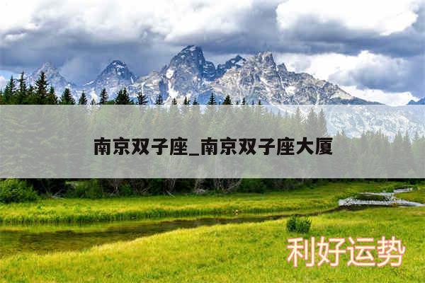 南京双子座_南京双子座大厦
