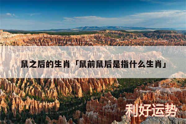 鼠之后的生肖及鼠前鼠后是指什么生肖