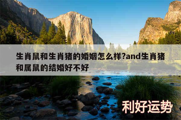 生肖鼠和生肖猪的婚姻怎么样?and生肖猪和属鼠的结婚好不好