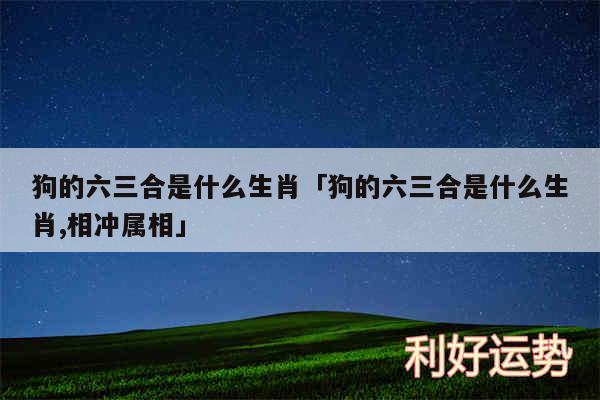 狗的六三合是什么生肖及狗的六三合是什么生肖,相冲属相