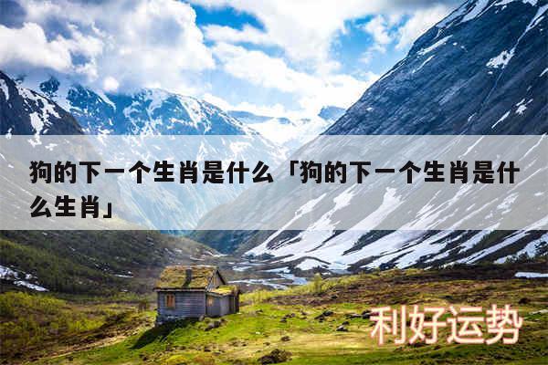 狗的下一个生肖是什么及狗的下一个生肖是什么生肖