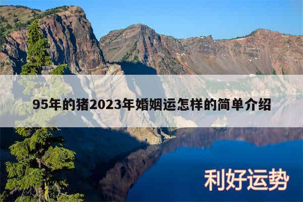 95年的猪2024年婚姻运怎样的简单介绍