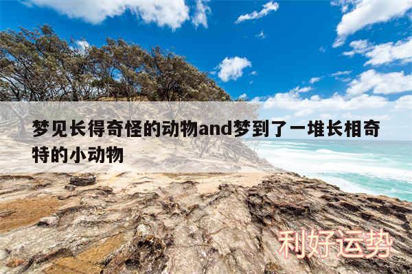 梦见长得奇怪的动物and梦到了一堆长相奇特的小动物