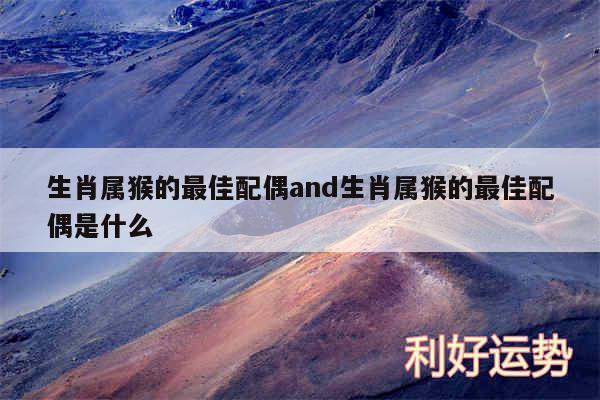 生肖属猴的最佳配偶and生肖属猴的最佳配偶是什么